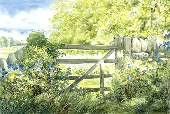 Cotswold Summer - Gate and Meadow Cranesbill - watercolour by Dorothy Pavey