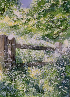 Gate to the Woods - watercolour by Dorothy Pavey