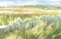 Harvest View - Shipton - watercolour by Dorothy Pavey