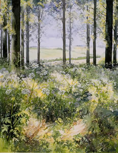 Sunlight and Shade – Woodland Scene - watercolour by Dorothy Pavey