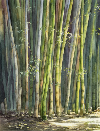 Bamboo - watercolour by Dorothy Pavey