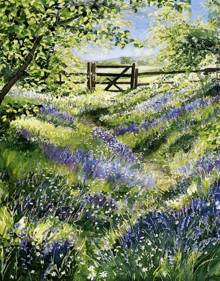 Bluebell Wood - watercolour by Dorothy Pavey