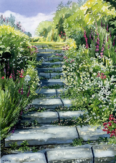 Garden Steps - watercolour by Dorothy Pavey