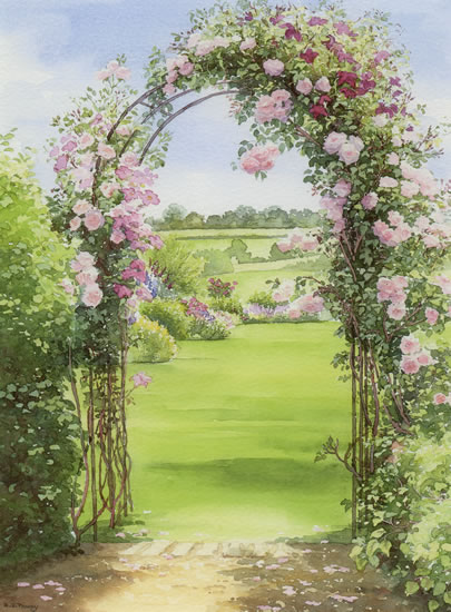 New Dawn Rose Archway - watercolour by Dorothy Pavey