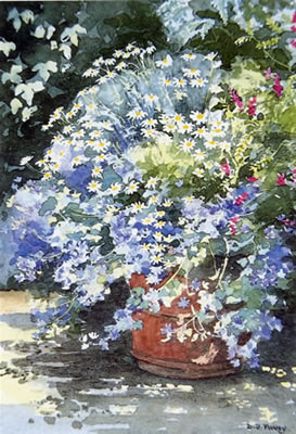 Pot – Blue mallow - watercolour by Dorothy Pavey