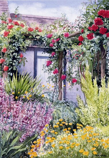 Rose Trellis - watercolour by Dorothy Pavey